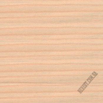 Кромка АБС 1325W клен Мандаль 23х0.45