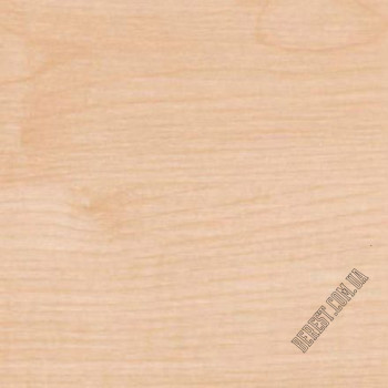 ДСП 375 PR 2800х2070х16 Клен Танзау